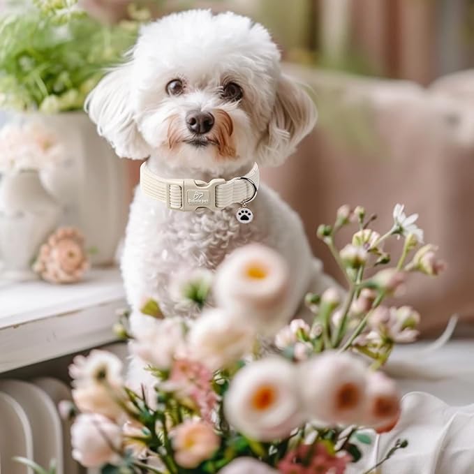 Cute Corduroy Dog Collar - White Adjustable Dog Collars for X-Small Dogs 4-10lbs, Fade-Proof with Secure Snap & Little Charm, Christmas Birthday Gift, XS
