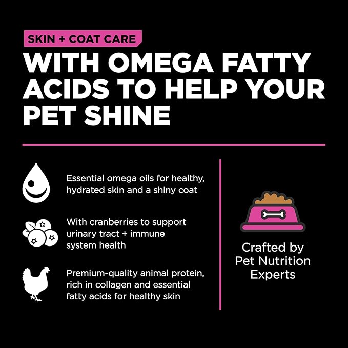 Go! Solutions Skin + Coat Care, Dry Cat Food, Chicken Recipe with Grains, 8 lb Bag