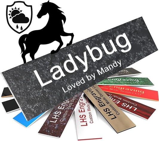 Personalized Horse Stall Name Plates, 2x6 Horse Stall Signs with Adhesive, All Weather UV Protected, Mojave Plastic White Letters - Made in USA - N8
