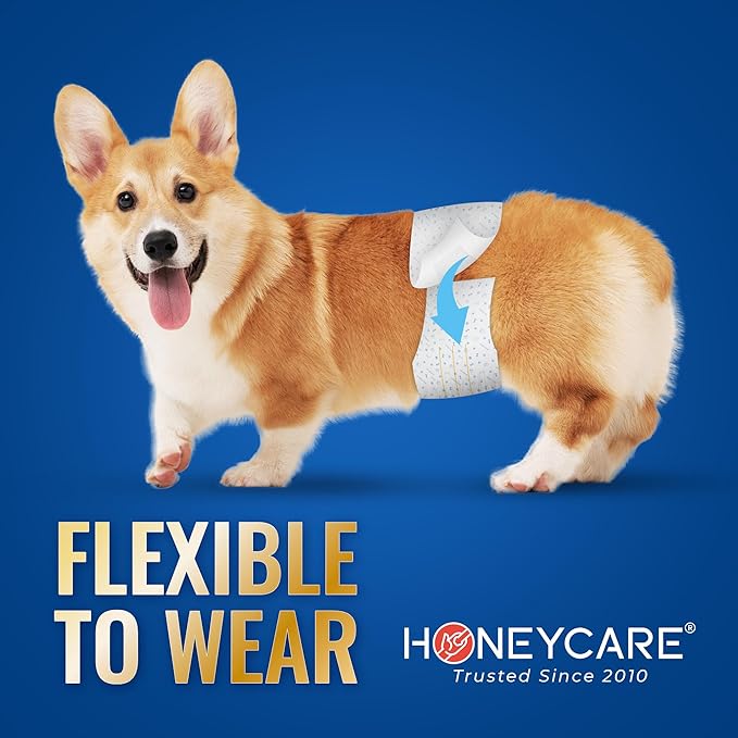 HONEY CARE All-Absorb A26 Male Dog Wrap, 50 Count, Small