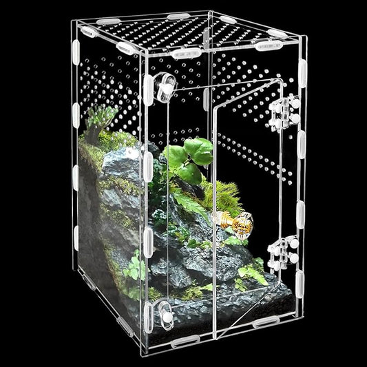Acrylic Jumping Spider Enclosure Box: 10x6x6 Inch Transparent Habitat with Ventilation Holes, Escape-Proof Terrarium for Reptile Pet, Easy to Clean & Observe