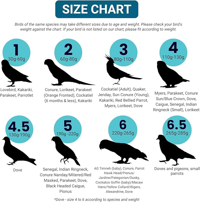 Bev's Bird Boutique Regular Flyper Adjustable Bird Diaper | Reusable, Washable Cloth | Comfort Fit for Parrot, Cockatiels, & Other Small Birds | Fashionable Avian Accessories, Regal, Size 7.5