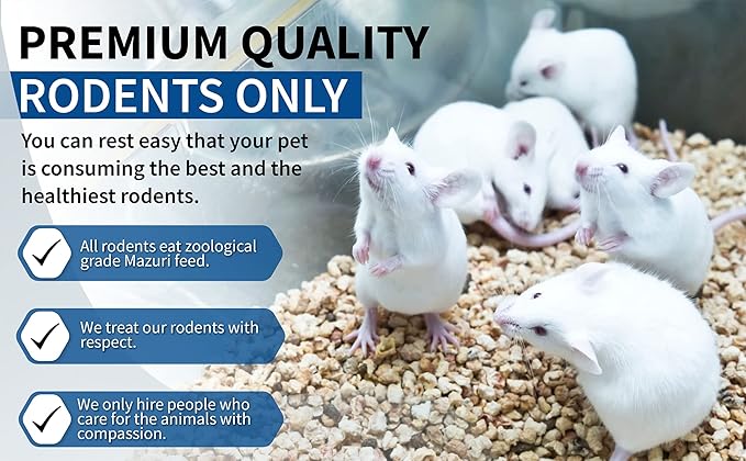 MiceDirect EST. 2003 40 Frozen Mice Small Fuzzie Feeders Snake Food for Juvenile Hognose Corn Milk (.5-1 in) (120 Grams Min)