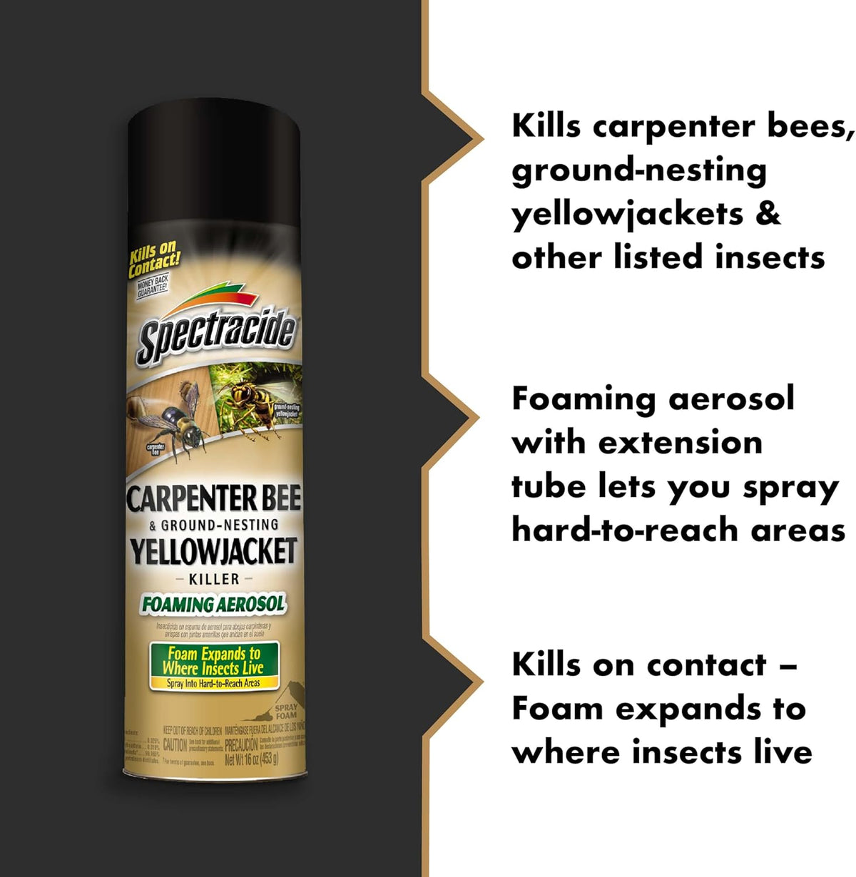 Spectracide Carpenter Bee and Ground Nesting Yellow Jacket Foaming Aerosol, 16-Ounce