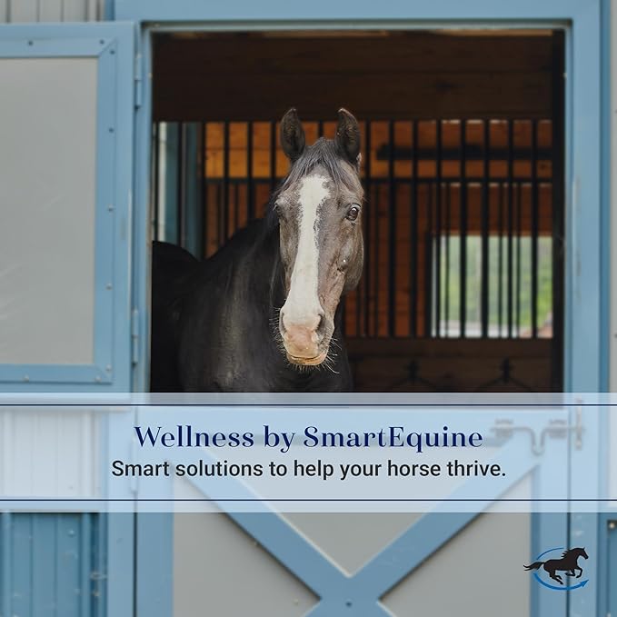 SmartEquine Slow Feed Hay Bag for Horses | Hay Feeder Net with Resistant Nylon | Gator Mouth Enclosure for Easy Loading | 2 Flakes Bag | 31" x 24.5" | Black | 2" Holes