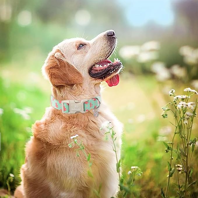 Easter Dog Collar for Large Dogs - Green Bunny Egg Dog Collars, Cute Boy Girl Dogs Easter Collar, Adjustable Spring Holiday Pet Collars with Quick Release Buckle XL