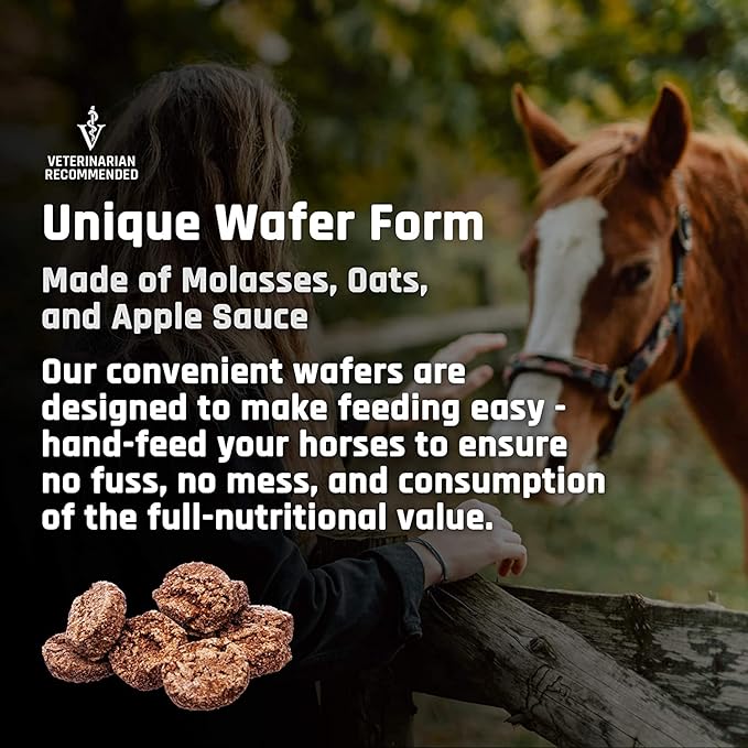 Majesty's BIO+ Biotin Wafers - Superior Horse / Equine Hoof and Coat Support Supplement - Copper, Zinc, Lysine, Methionine (60 count)