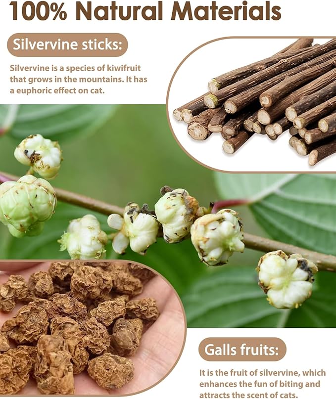 Tocirelo Kitten Chew Toys Teething - 6Pack Natural Silvervine Sticks for Cats, Matatabi Cat Feather Toy Chew Sticks, Cat Teeth Cleaning Treats for Indoor Bored Kitten