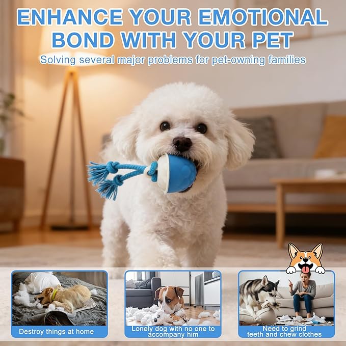 Interactive Dog Ball Toy (3.35x2.76in), 2026 Upgraded Automatic Rolling Ball with 3 Modes, USB Rechargeable, Smart Motion Pet Ball, for Small Medium Large Dogs Indoor Outdoor Play (Blue)
