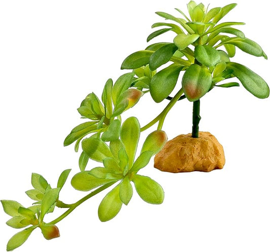 Woyrise Reptile Plants Succulent, Artificial Desert Plant for Terrarium Decor, Bearded Dragon Tank Accessories fit Gecko Lizard Chameleon Ball Python Snake - Sedum Palmeri
