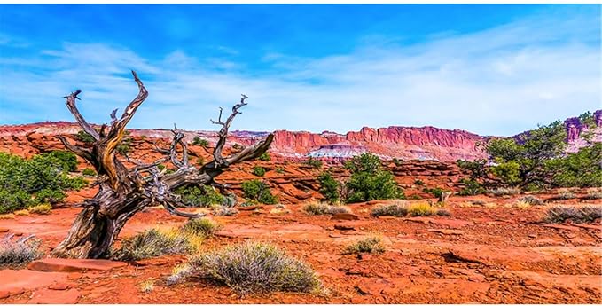 AWERT 24x16 inches Reptile Habitat Background Blue Sky Oasis Orange Desert Terrarium Background