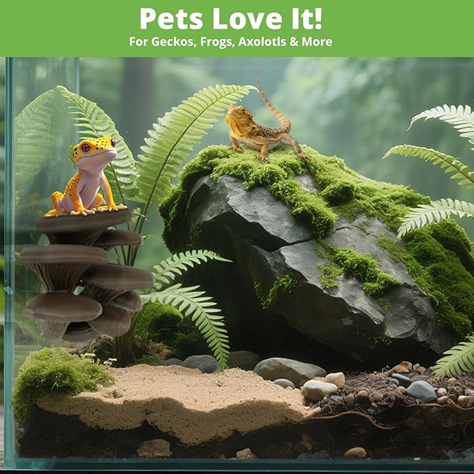 Mushroom Decor for Reptile Tank, Fish Tank, Pet-Safe Bearded Dragon Tank Accessories, Realistic Terrarium Plants for Leopard Geckos, Frogs, Snakes (Rainbow Cluster Cap, Randomly Ship)