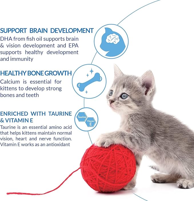 INABA Churu for Kittens, Grain-Free Creamy, Purée Lickable Cat Treats with DHA, EPA, Vitamin E & Taurine, 0.5 Ounces Each, 12 Tubes (4 per Pack), Chicken Recipe