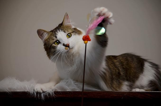 NECOICHI Crinkly Critters Fluttery Fish Cat Wand No.1 Selling Cat Toy in Japan