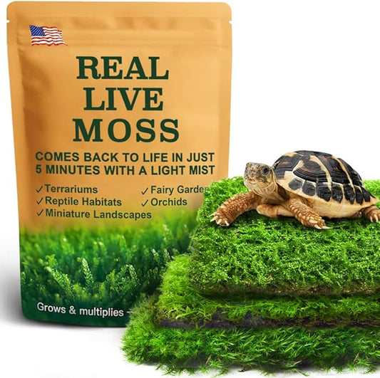 Live Moss Variety Pack – 3-Pack Mixed Mosses (Each 3.5" x 7") – Real Sheet Moss for Terrariums, Bonsai, Reptile Tanks, Succulents & DIY Plant Crafts, Living Moss for Terrarium, Indoor planters
