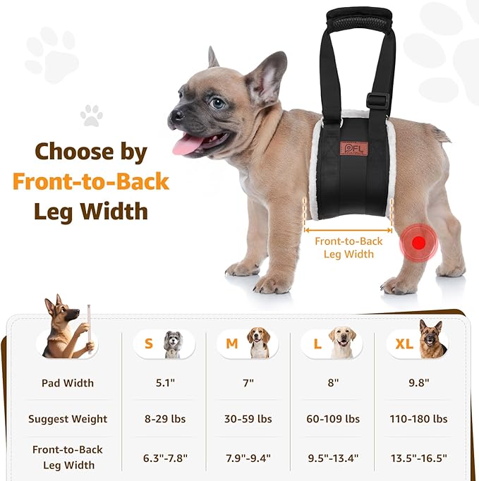 Adjustable Dog Lift Harness, Dog Sling for Large Dogs Lift Support and Rehab Harness for Weak Rear Legs, Soft Hind Leg Support Helps Senior, Injured, Disabled and After ACL Surgery Dogs(Black,Small)