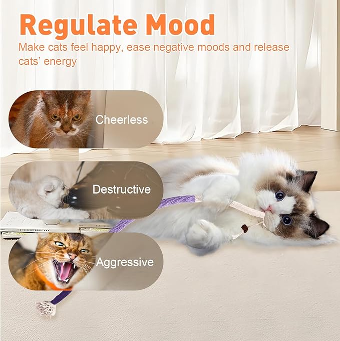 3 PCS Cat Toys Chew Ropes, 27.56 Inches Cat Chew Rope Toy for Teeth Cleaning, Safe Catnip Toys for Cats Rope Chew Toy (3 Bags of Catnip Included)