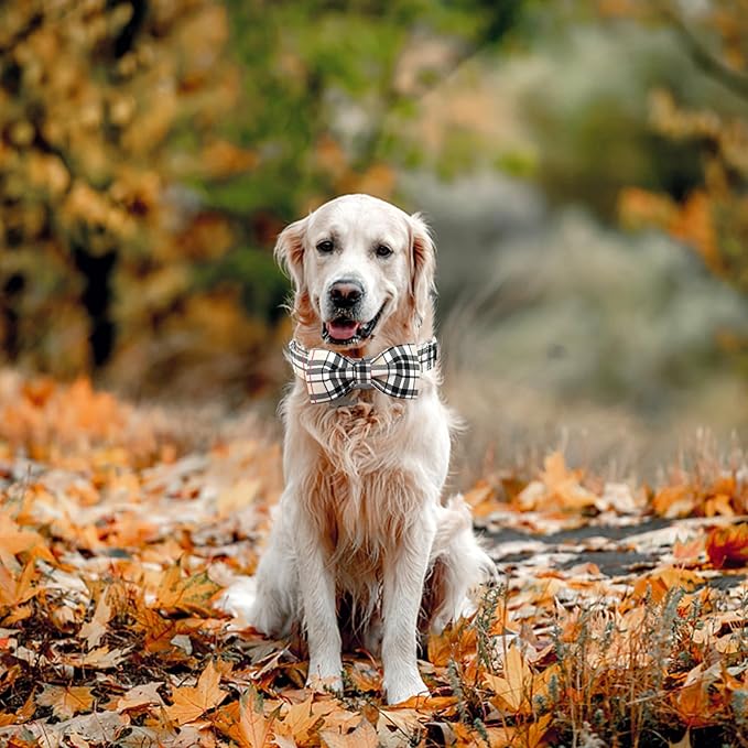 Dog Collar, Bow Dog Collar Plaid Pet Collar Dog Cute Pet Bow Soft Girl or Boy Dog Collars with Metal Buckle Adjustable Collar for Small Puppy