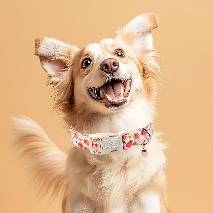 Strawberry Dog Collar for Small Dogs - Cute Spring Pink Dog Collars, Summer Pastel Puppy Collars, Soft Adjustable Boy Girl Dogs Collar with Quick-Release Buckle XS