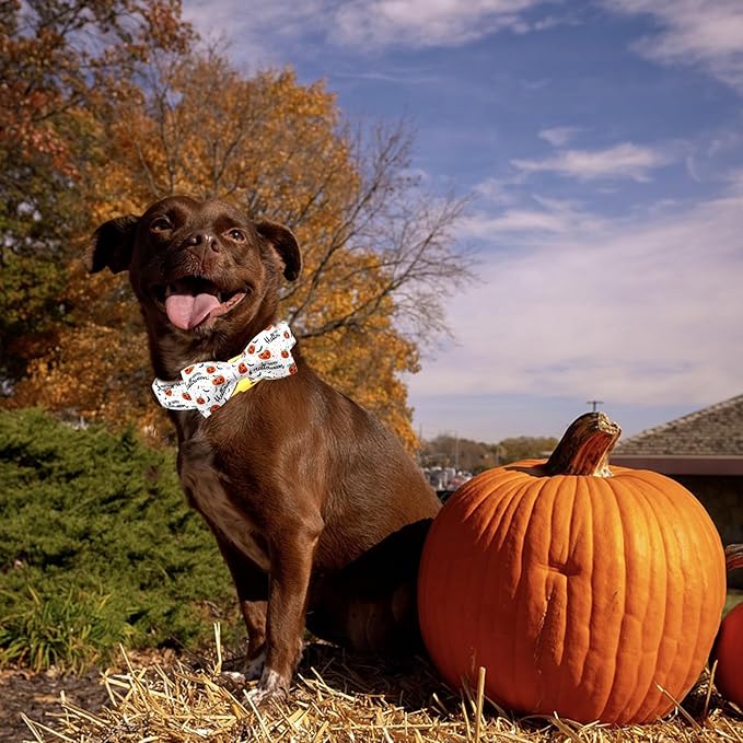 Halloween Dog Collar, Pet Collar Bow Pumpkin Pet Collar Girl Boy Holiday Collars Gift Bow Cute Soft Puppy Collars for Medium Dogs