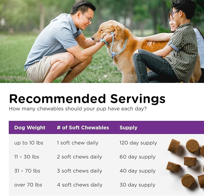 Nutri-Vet Pre & Probiotics for Dogs, Digestive Support, Upset Stomach, Puppy Probiotic, Pet Vitamins and Supplements, Dog Probiotics, Liver & Cheese Flavor, 120 Soft Chews