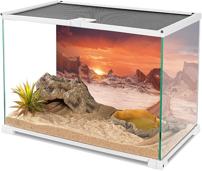 AWERT 30x12 inches Sun and Desert Terrarium Background Orange Reptile Habitat Background Durable Polyester Background
