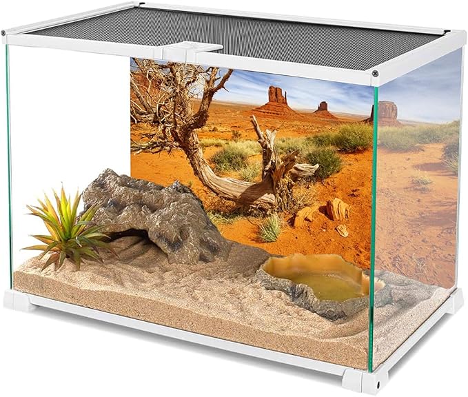 AWERT 60x24 inches Reptile Habitat Background Orange Desert Terrarium Background Durable Polyester Background
