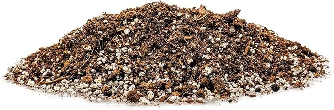 Gardenera Spearmint Plant Potting Mix - Unlock Robust Growth and Invigorating Scent with Our High-Performance Formula - 20 Quart