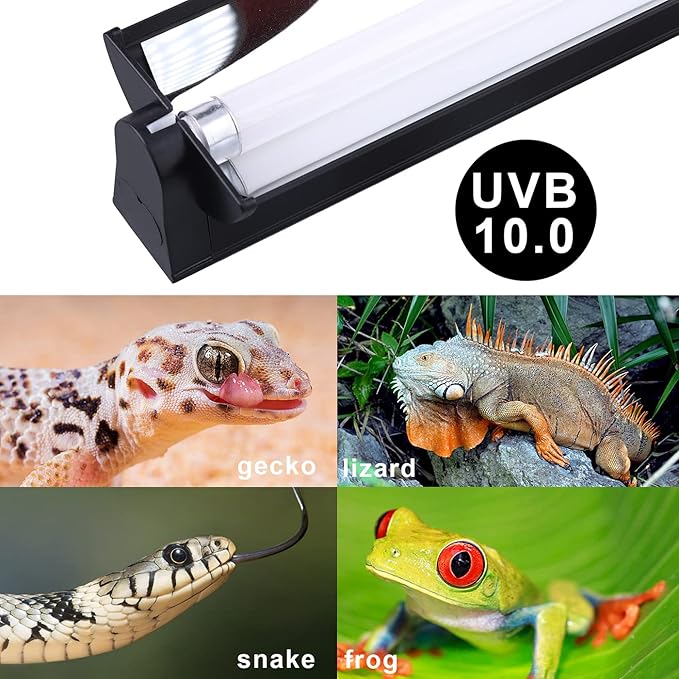 Aiicioo T5 UVB Lighting Combo Kit - Desert 10.0 Terrarium Hood Light Fixture & High Output T5 HO UVB Bulb for Reptiles Chameleon Gecko (34Inch 39W)