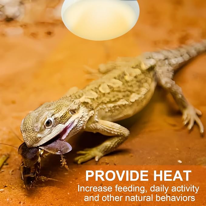 Reptile Heat Lamp 100W Combo Pack, Day and Night Basking Spot Bulb for Amphibian Includes Black Heat Lamp UVA Daylight Heating Light