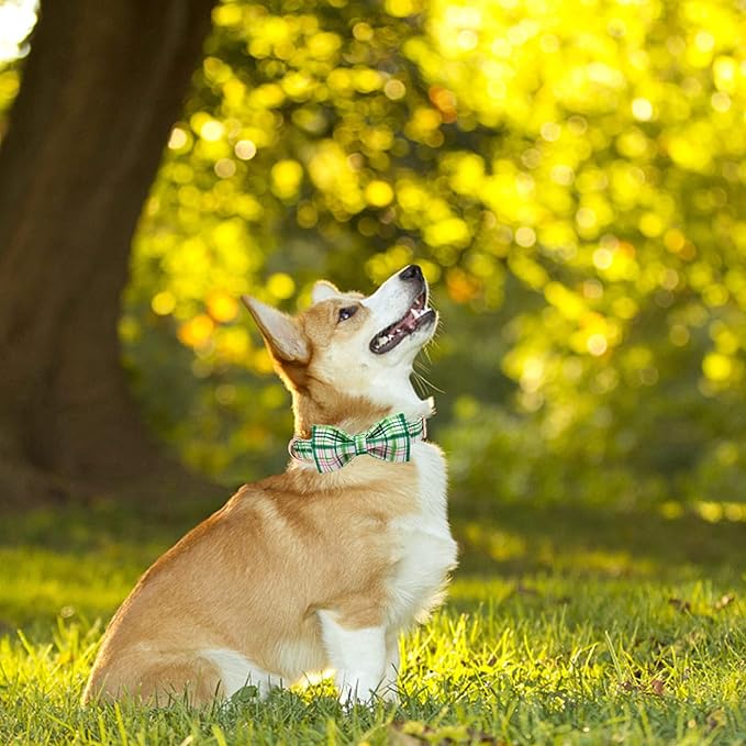 Elegant Little Tail Dog Collar with Bow - Pink with Green Plaid Cute Bowtie Adjustable Collar for Small Puppy