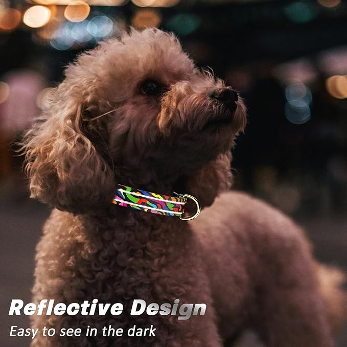 Reflective Dog Collar for Small Dogs, Cute Boho Adjustable Heavy-Duty Nylon Puppy Collar for Boy and Girl Female, Soft Pet Accessories with Quick Release Buckle, Abstract Rainbow Art