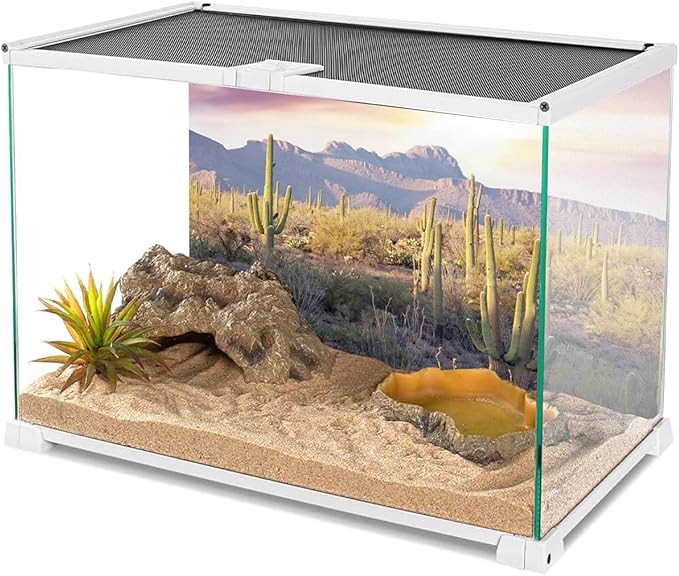 AWERT Reptile Habitat Background Blue Sky Oasis Mountain Cactus Sun and Desert Terrarium Background 24x12 inches