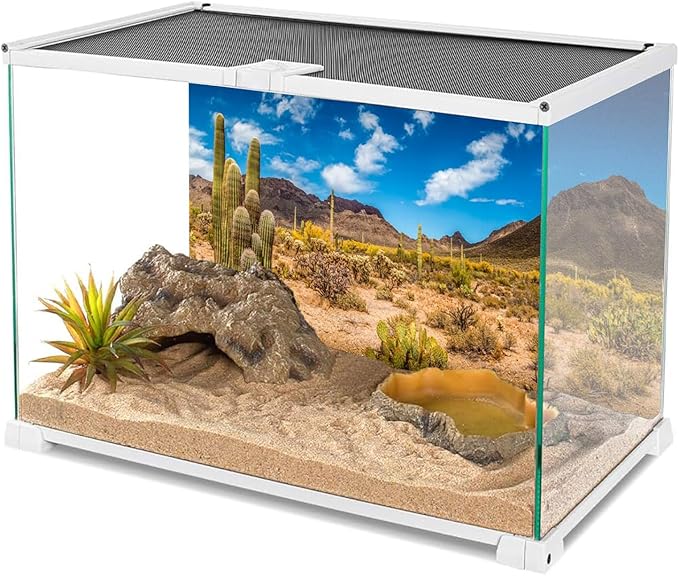 AWERT 30x18 inches Reptile Habitat Background Blue Sky Oasis Cactus Desert Terrarium Background Vinyl