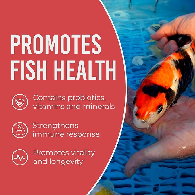 Blue Ridge Koi Fish Food 2lb - Koi Food Mini Growth Formula, Goldfish Food, Premium Fish Food for Ponds, Ponds Fish Food, Floating Pond Pellets
