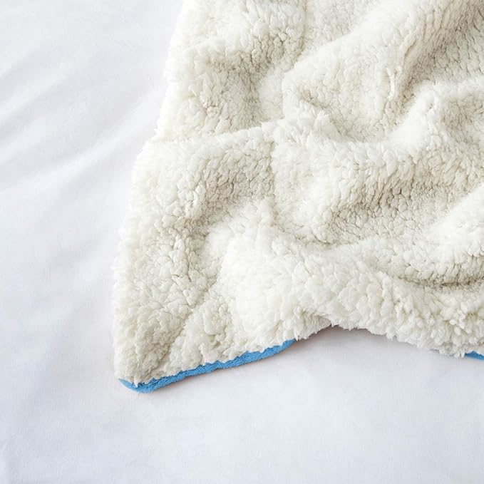 IR Imperial Rooms Sherpa Fleece Throw Blanket for Couch - Soft and Fuzzy Light Blue Blanket for Winter - Reversible Thick and Warm Fluffy Throw Blankets for Bed, Camping and Travel, 50x60 Inches