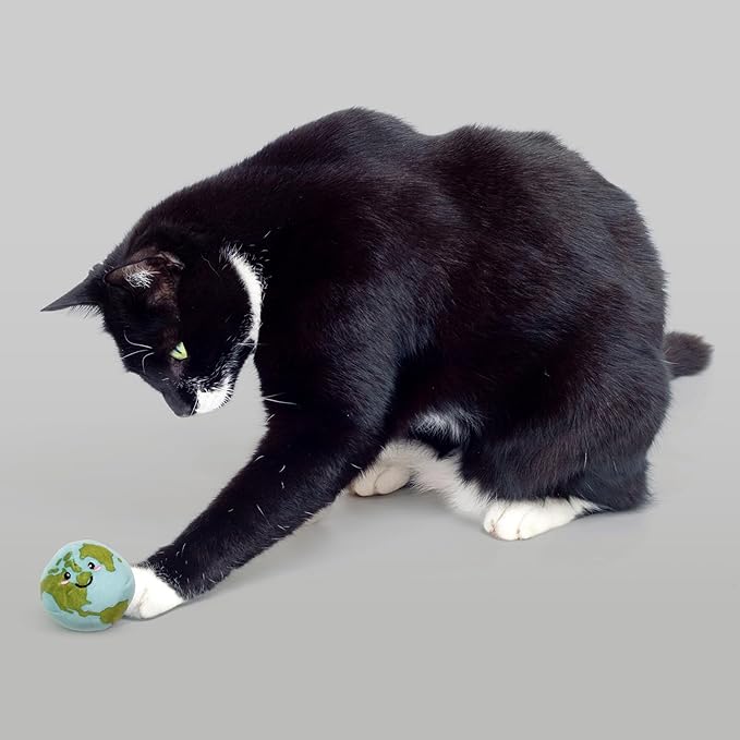 Cat Toys | Plush Toy Earth Animals (Value 5-Pack) Cat Toys for Indoor Cats | Eco Friendly Toy Made from Non Toxic Materials