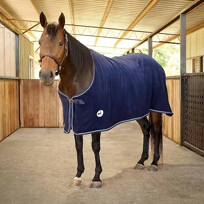 Jeffers Equine Elite Fleece Horse Cooler Blanket, 75 Inch – Soft, Adjustable Fit, Lightweight, Easy Care, Moisture Wicking Cooling Sheet with Surcingle for Post Exercise, Travel for Horses – Navy