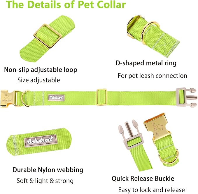 Nylon Dog Collar - Adjustable Fluorescent Green Soft Webbing Dog Collars for Small Medium Large Dogs Boy Girl Puppy Collar with Safety Metal Buckle XS