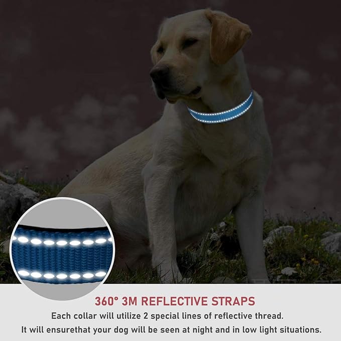 Reflective Dog Collar with Buckle Adjustable Safety Nylon Collars for Small Medium Large Dogs, Blue XL