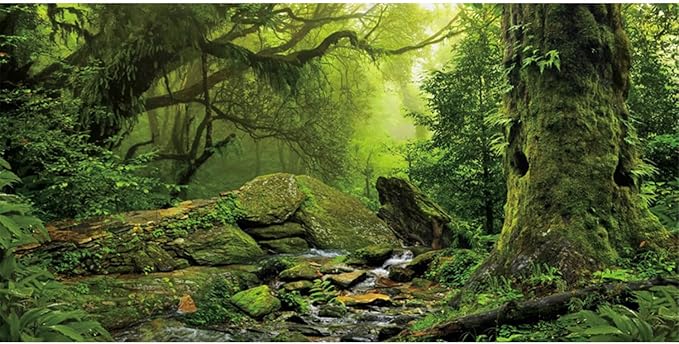 AWERT Tropical Forest Terrarium Background Stream Green Huge Tree Reptile Habitat Background Foggy Rainforest Aquarium Background 24x16 inches Durable Polyester Background