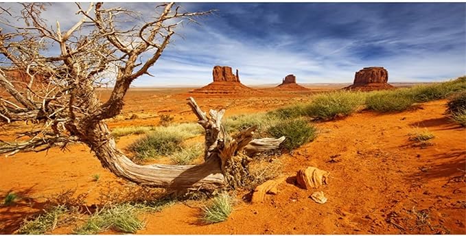 AWERT 36x24 inches Reptile Habitat Background Orange Desert Terrarium Background Durable Polyester Background