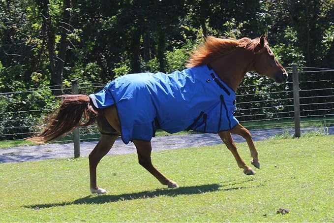 Derby Originals Nordic Tough 1200D Ripstop Waterproof Reflective Winter Horse Turnout Blanket 300g Heavy Weight, Royal Blue, 81"