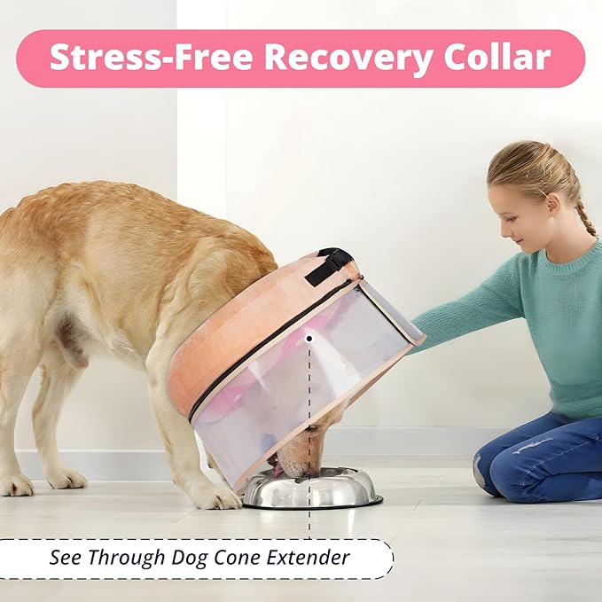 Inflatable Dog Cone with Transparent Shield, Protective Dog Donut Collar After Surgery to Stop Licking, Soft Donut Cone for Small Pets, Adjustable Recovery Collar with Buckle Visibility
