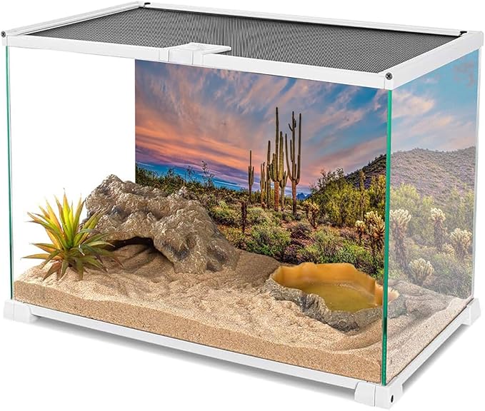 AWERT 48x24 inches Terrarium Background Blue Sky Cloud Huge Cactus Oasis Gobi Reptile Habitat Background Vinyl