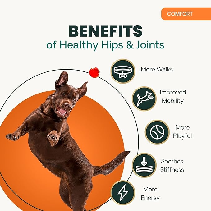 VetriScience GlycoFlex Ultimate Strength Healthy Hip & Joint Glucosamine Supplements for Dogs, with MSM, Chondroitin & Green-Lipped Mussel, Soft Chews, Bacon, 120 Count - New Look