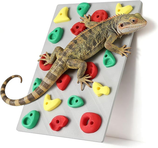 Climbing Wall for Reptiles, Reptile Tank Terrarium Accessories Habitat Decor for Bearded Dragons, Leopard Geckos, Lizards, Snakes, Tree Frogs, Amphibian Paludariums Enclosure Supplies