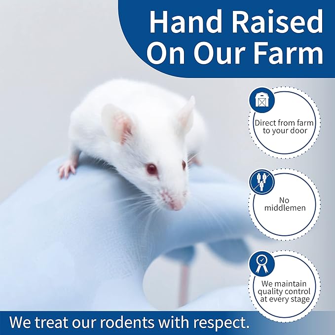 MiceDirect 10 Frozen Mice Combo Pack of 5 Weanlings and 5 Small Adult Feeders Snake Food for Mice for Adult Sand Boa Corn Milk Snakes (2-3 in)(Pack of 10)(160 Grams Min)