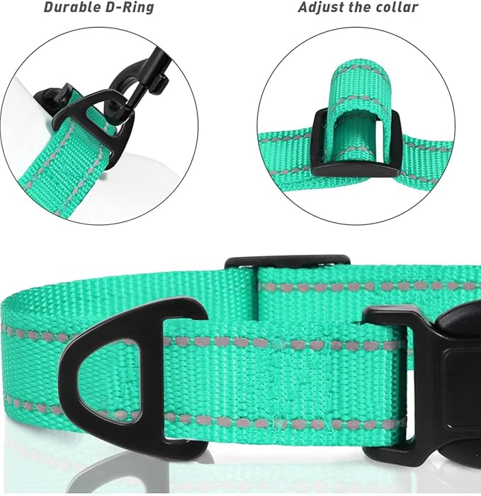 TagME Reflective Nylon Dog Collars, Adjustable Classic Pet Collar with Quick Release Buckle for Extra Small Dogs, Turquoise, 5/8" Width