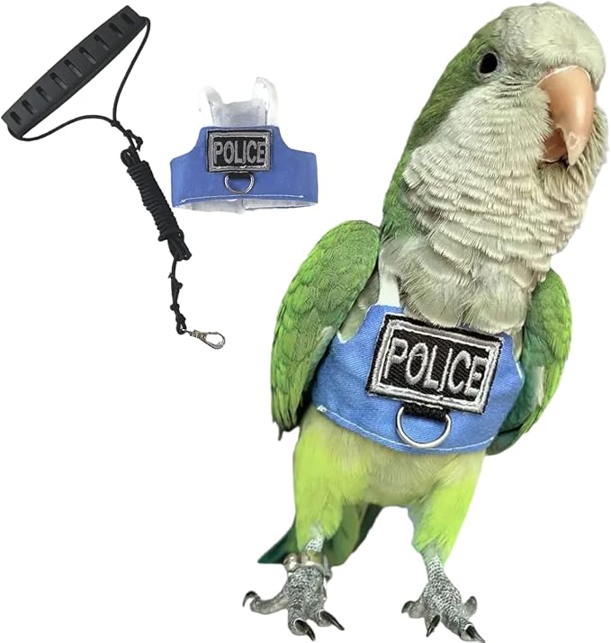 Bird Flight Harness Vest, Parrot Flight Suit with Leash, Bird Flying Clothes with Rope and Handle for Outdoor Activities (with Leash,Sun Conure)